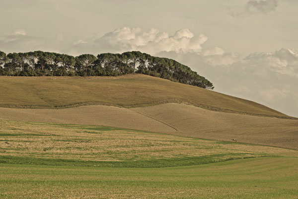 Crete Senesi, Autumn No. 30