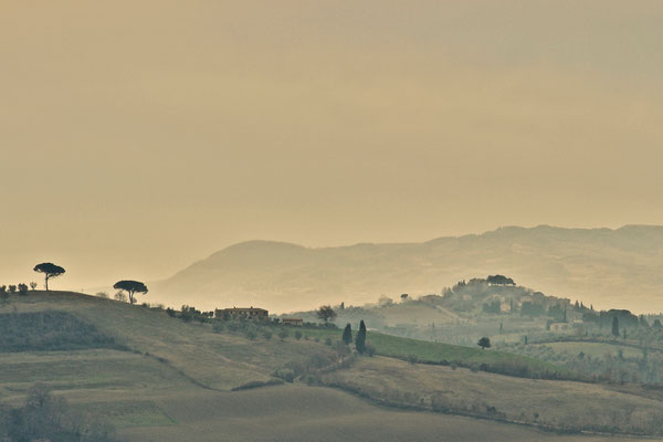 Crete Senesi, Winter No. 9