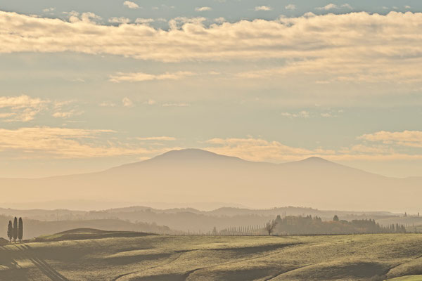 Crete Senesi, Winter No. 35