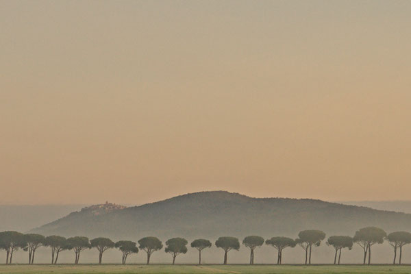 Montepescali, Winter No. 1