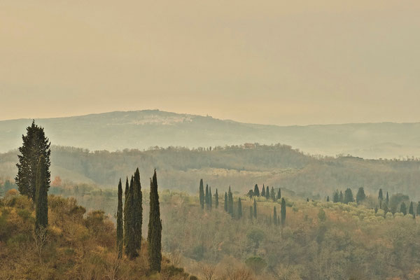 Crete Senesi, Winter No. 15