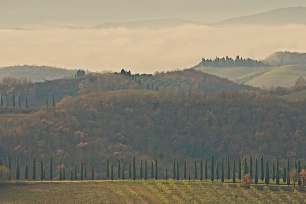 Crete Senesi, Winter No. 32