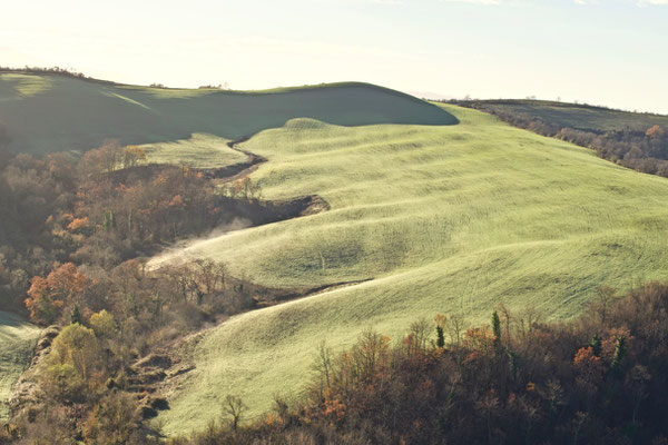 Crete Senesi, Winter No. 36