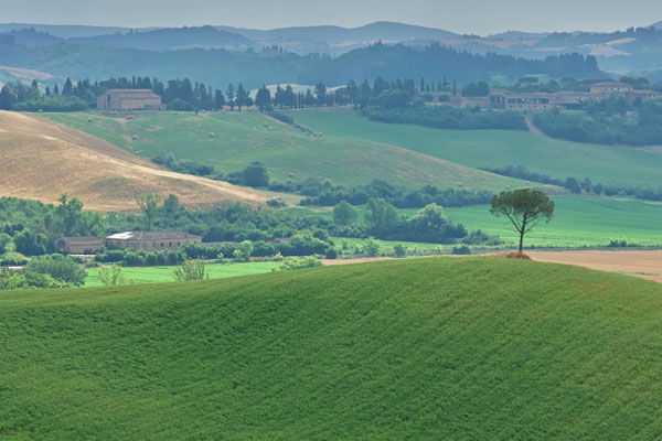 Crete Senesi, Summer No. 20