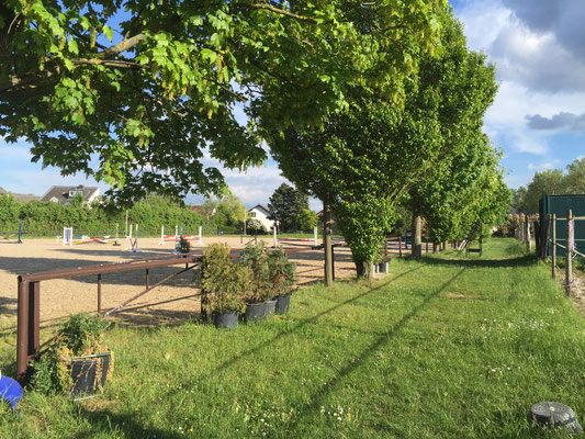 Springplatz