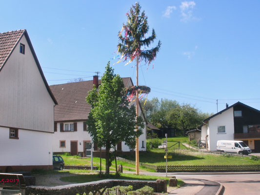 Maibaum in Tumlingens Ortsmitte von den Schaffigen Rentnern gestellt.