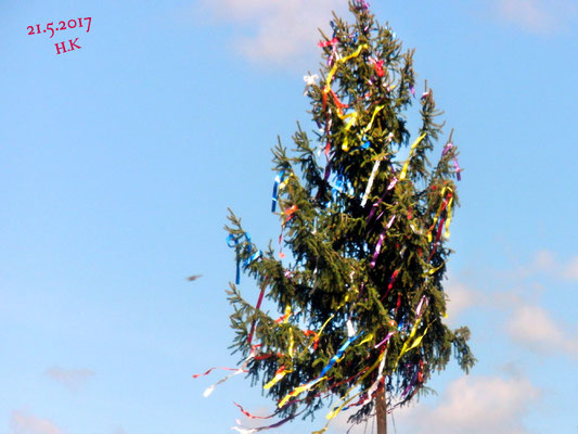 Maibaum in Tumlingens Ortsmitte von den Schaffigen Rentnern gestellt.