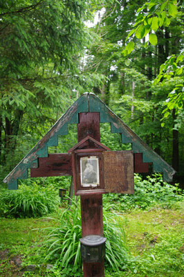 A_228_Sigauer