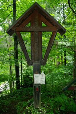 A_47_Niescher1
