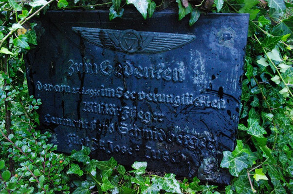 A_135_Schmiedberger1