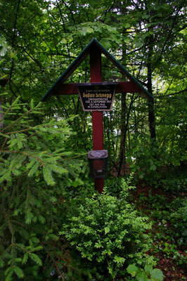 A_37_Schnegg1