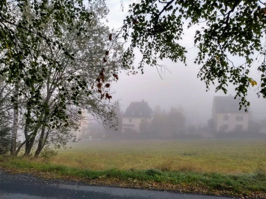 Am Waldweg 2019