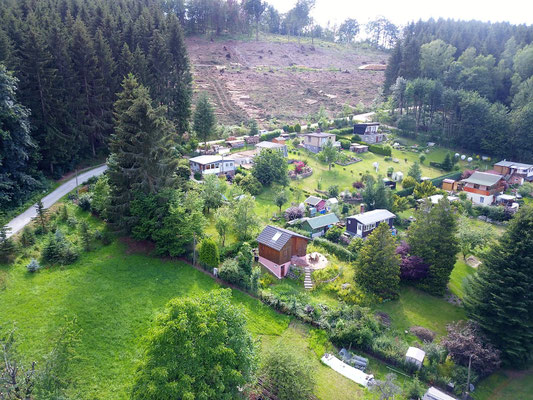 Die Siedlung und der abgeholzte Wald