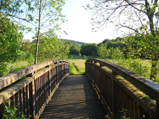 Zwönitzbrücke am Dachsberg