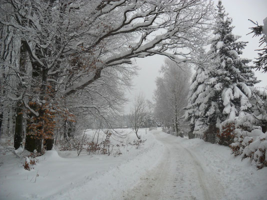 Weißbacher Straße am Ortsausgang