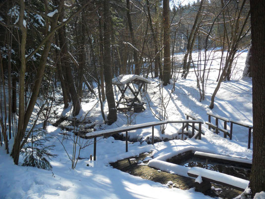 Das einsame Wassertretbecken