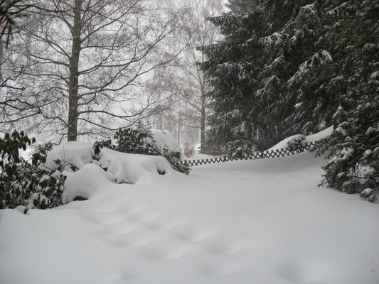 Weihnachten 2010