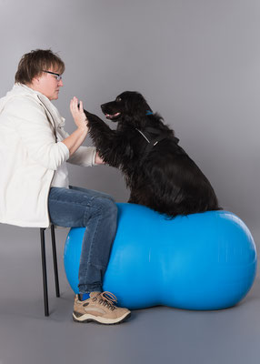 Chi-Love.de | Hundephysiotherapie Movedogs