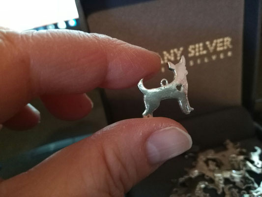 Chihuahua-Gewinnspiel-Facebook-Silber-Preis-Gewinn