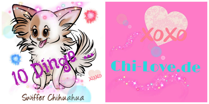 Chi-Love.de | BLOG | Magazin | 10 Dinge ... | by Swiffer Chihuahua 