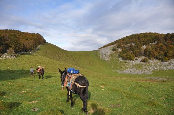 Col d'Espadres