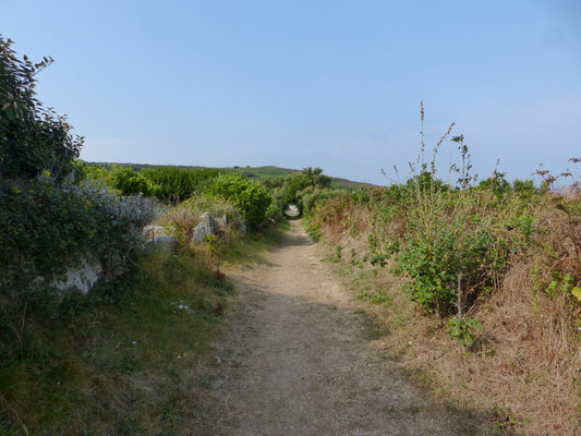 Toujours un beau sentier