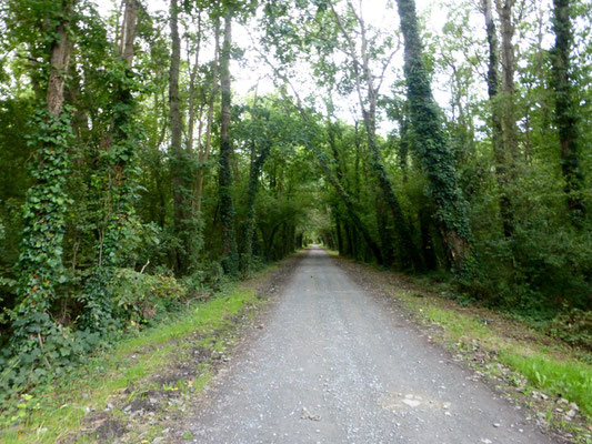 Le sentier entre mer et bocage