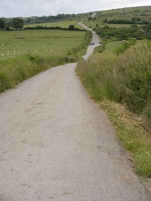 Trés longue 