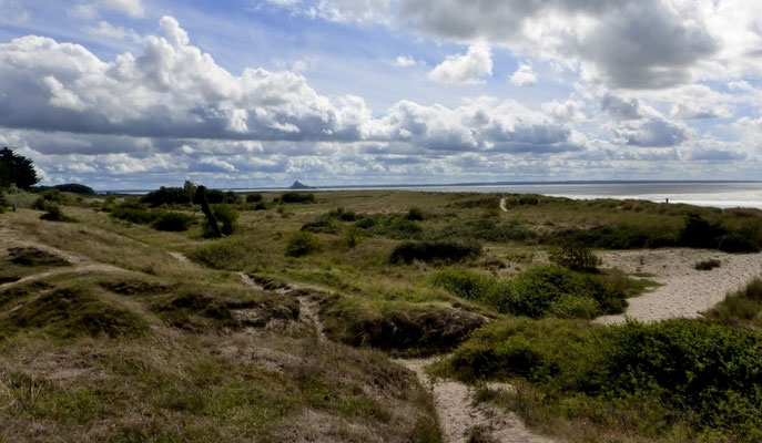 Les dunes de Genêts