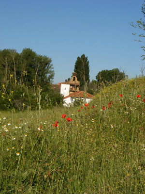 Une jolie chapelle seule