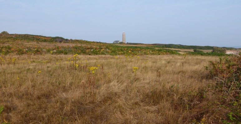 Au loin le phare du cap Levi