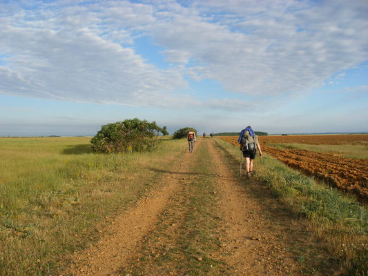 Chemin droit et long