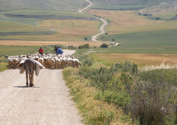 En chemin de belles rencontres