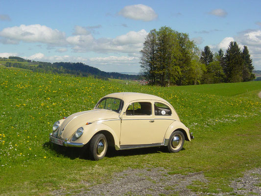 Hubert Müller, VW 1200 Ovali, Baujahr 1954