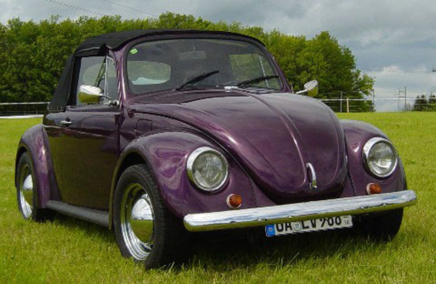 Alexandra Endras, VW 1500 Speedster, Baujahr 1968