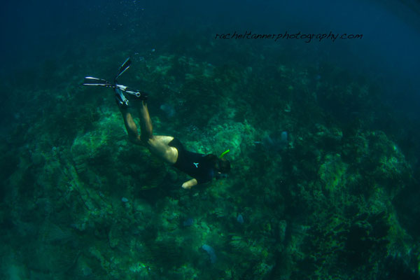 Diving with Taino Divers