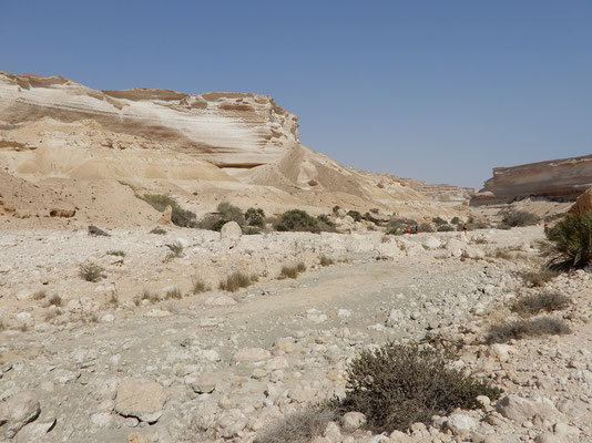 Shuwaymiah-Wadi