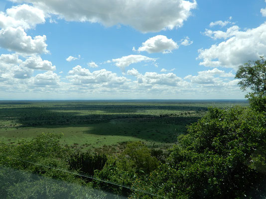 Ausblick in den Kruger-Park
