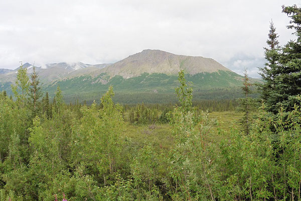 Die Alaska Range