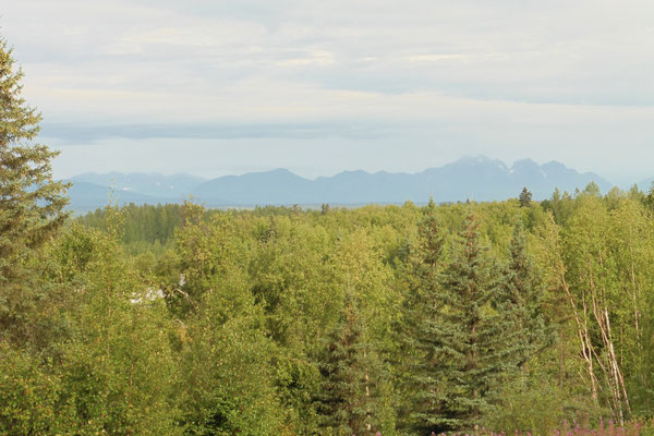 Letzter Blick auf die Alaska Range