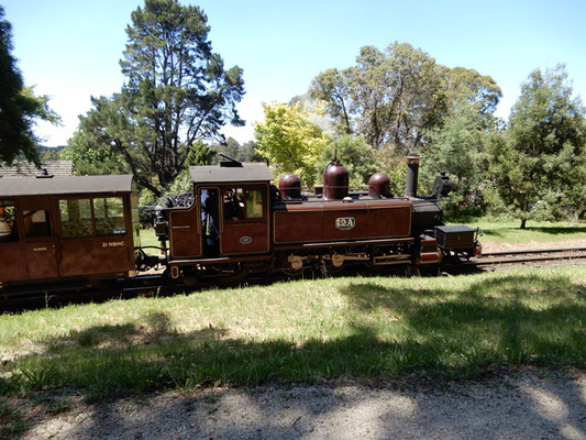 Puffing Billy Railway bei Emerald