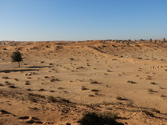 Mitten in der Wüste