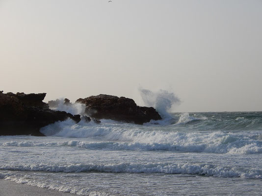 Wellengang beim Standplatz am Meer bei Ras al Hadd
