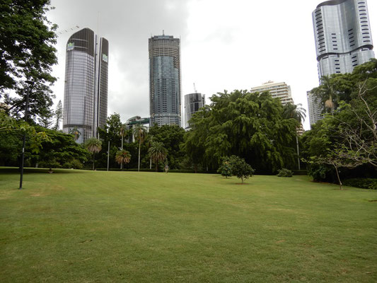Botanischer Garten mit Skyline Brisbane CBD
