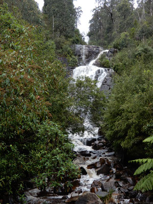 Steavenson Wasserfälle