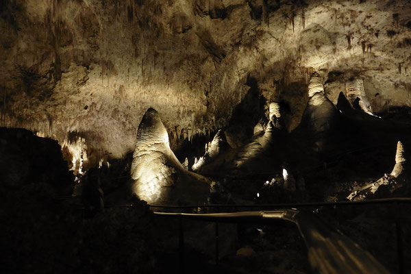 Carlsbad Caverns - 