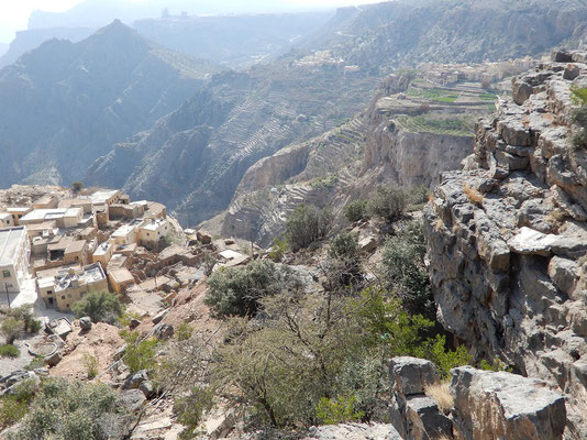 Jebel Al Akhdar - Terrassendörfer beim Saiq-Plateau