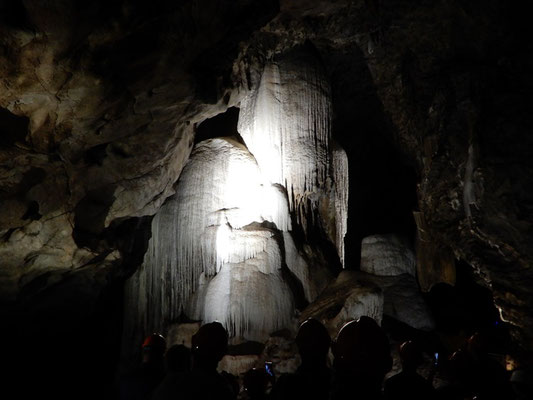 In den Wellington Caves