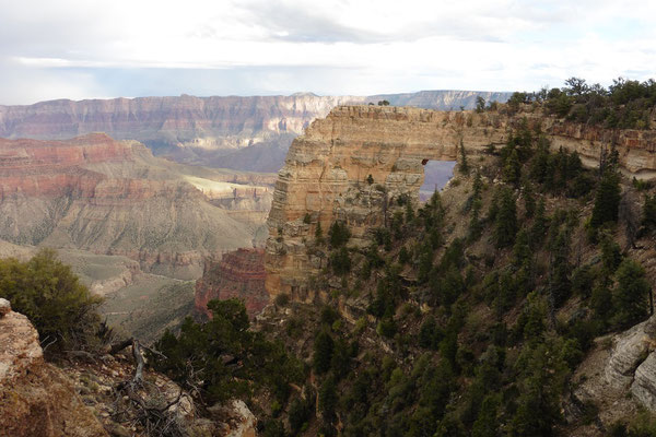 Grand Canyon North Rim - Angels Window