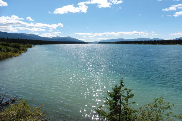 Tagish Lake